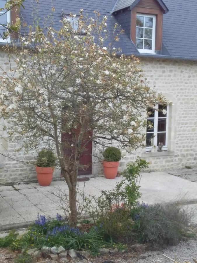 Chambre De Rose - Le Refuge Des Parachutistes - En Bordure Du Marais Neuville-au-Plain Eksteriør bilde