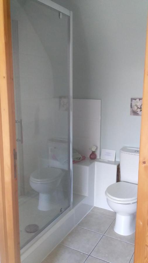 Chambre De Rose - Le Refuge Des Parachutistes - En Bordure Du Marais Neuville-au-Plain Eksteriør bilde