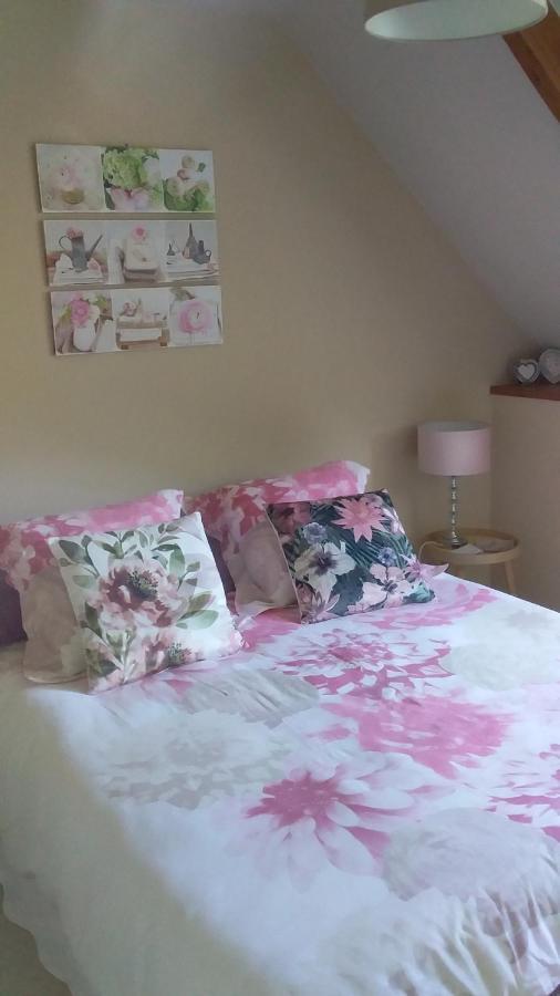 Chambre De Rose - Le Refuge Des Parachutistes - En Bordure Du Marais Neuville-au-Plain Eksteriør bilde