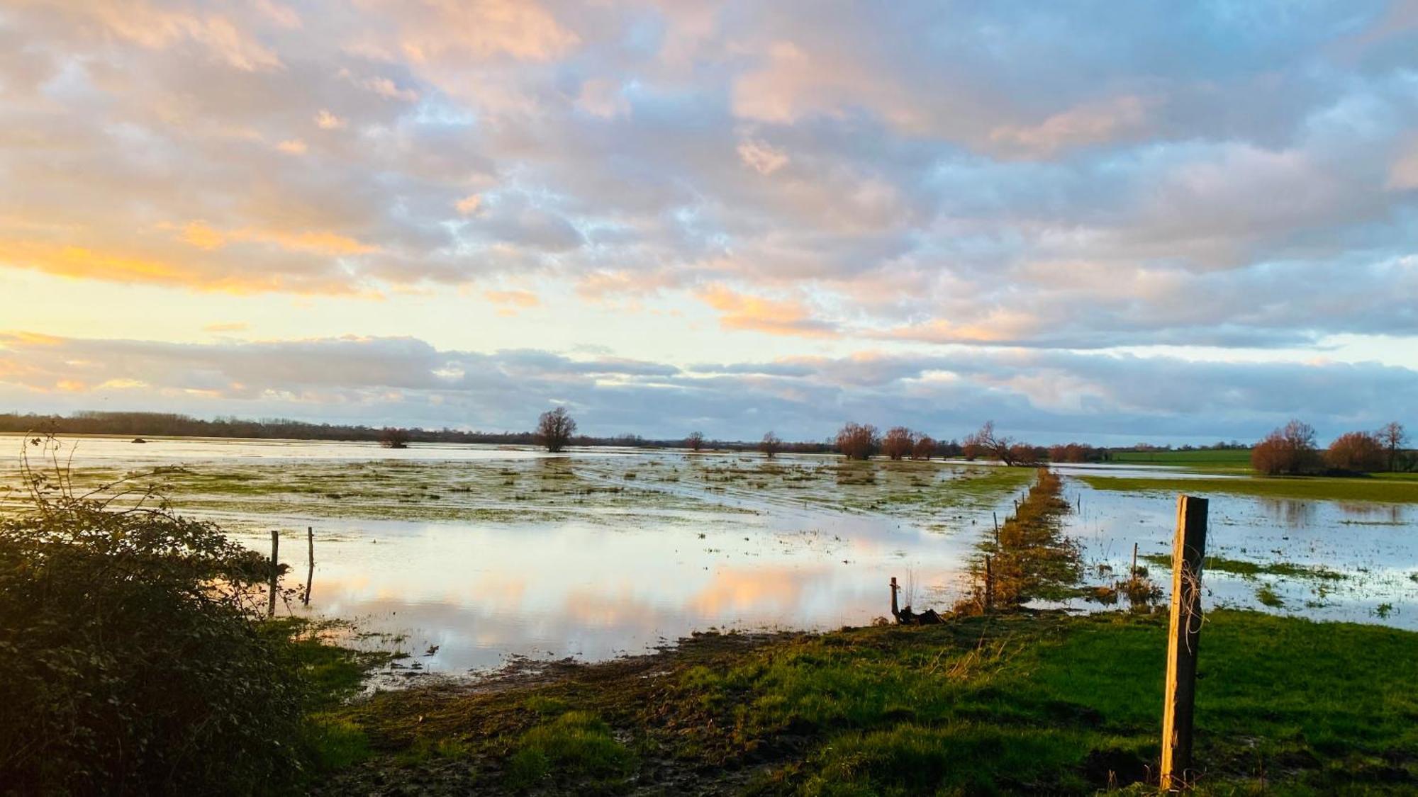 Chambre De Rose - Le Refuge Des Parachutistes - En Bordure Du Marais Neuville-au-Plain Eksteriør bilde