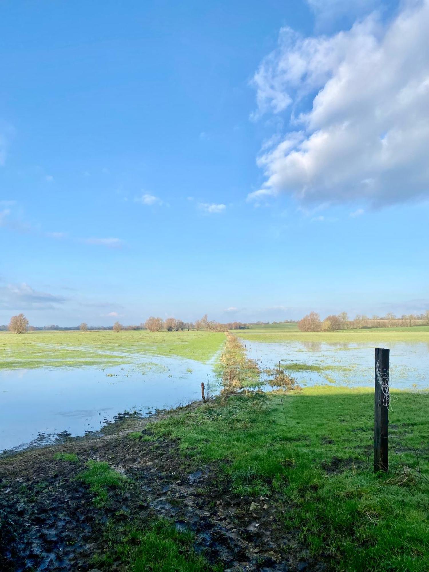 Chambre De Rose - Le Refuge Des Parachutistes - En Bordure Du Marais Neuville-au-Plain Eksteriør bilde
