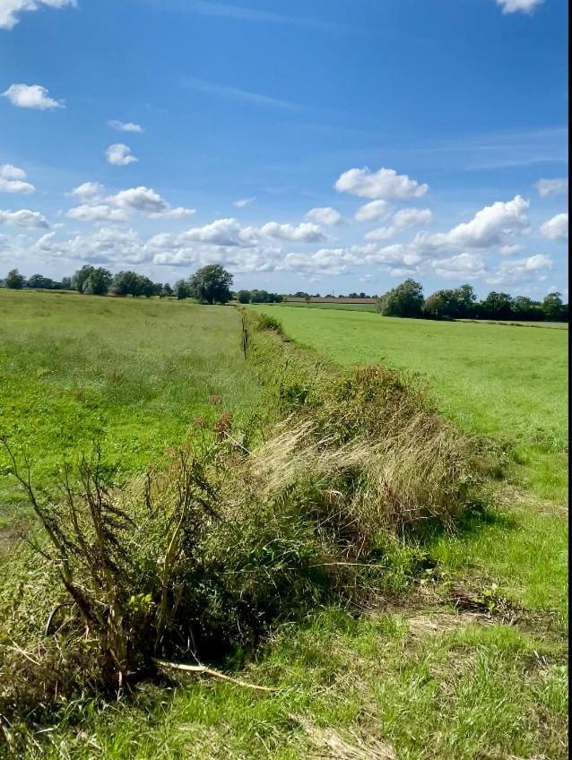 Chambre De Rose - Le Refuge Des Parachutistes - En Bordure Du Marais Neuville-au-Plain Eksteriør bilde